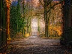 기억력은 며칠을 넘기기 어렵다. 도덕도 깨달음도 마찬가지.