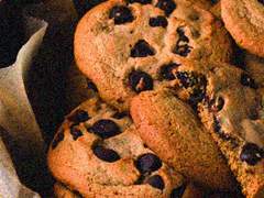 [금영영인] 왜 저럴까