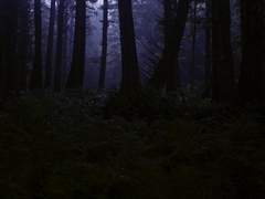 악귀 마카크 AU는 이렇게 끝날 예정이었다