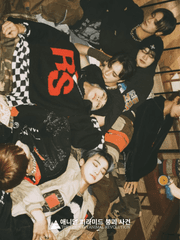 애니멀 피라미드 붕괴 사건