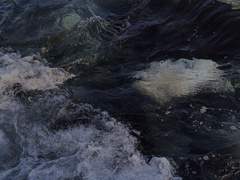 바다에 가고 싶어요