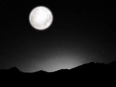 [백호열] 월하정인(月下情人), 15세 관람가