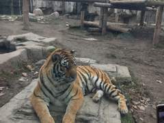 언제나 눈치보는 나