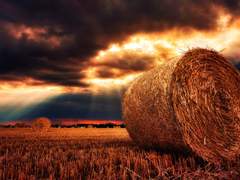 권력은 계속 바뀌어 가지만 그들의 이기심은 바뀌지 않고, 결국 아무것도 변하지 않는다