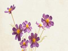 국가가 우리를 이용하듯이 우리도 국가를 이용해야 한다