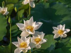 오늘 점심은 뭐야?