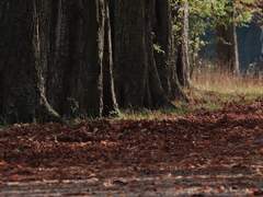 남보다 큰 힘을 가지려는 생각이 벌써 우리를 망가뜨린다