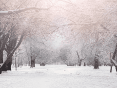 [탐카베] The spotless mind