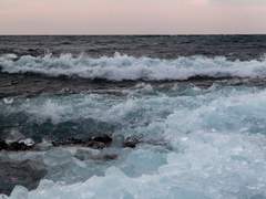 [청우배세] 안티프리즈 댄싱