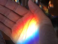 무지개의 조각들