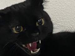 남고에서 살아남는 방법