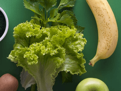 유산균이 풍부한 음식 7가지