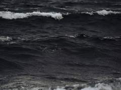 이제 겨울이 왔네. 기억해?