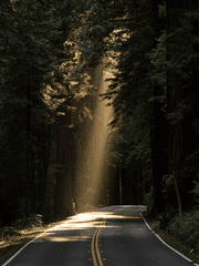 너에게로 가는 길