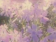 2년 후의 나는… {2}