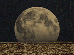 원하는 모든 것을 가질 수 있어