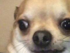 악인 18명의 문단속 5 전남친 결혼브륄레 대작전 (2)