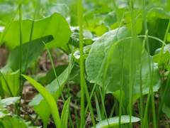 휴대폰 배경화면