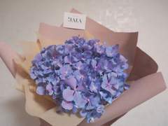 [이연이랑] 당신이 가진 꽃말은 1