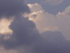 느리게 꾸는 꿈