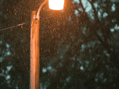 청소년 관람불가