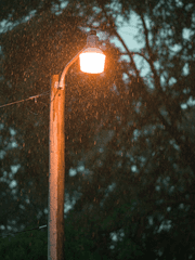 청소년 관람불가