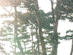 [이연무영] 혼사 01