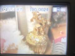 캠코더 사진 기록