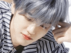 피사체의 낭만 01