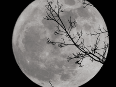 曉風鏤月(효풍누월) 1화