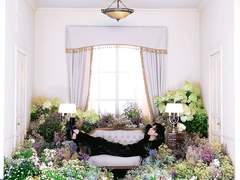 [국민] 프쉬케 설화 下