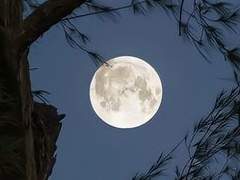 𝙷𝚎 𝚠𝚊𝚜 𝚕𝚒𝚔𝚎 𝚝𝚑𝚎 𝚖𝚘𝚘𝚗; 𝙰 𝚙𝚊𝚛𝚝 𝚘𝚏 𝚑𝚒𝚖 𝚠𝚊𝚜 𝚊𝚕𝚠𝚊𝚢𝚜 𝚑𝚒𝚍𝚍𝚎𝚗.