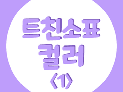 메이플스토리 트친소 양식 <1>