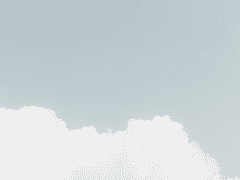 대추 나무 고양이 걸렸네