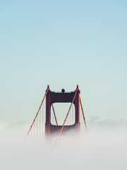 스타듀밸리 오타쿠질