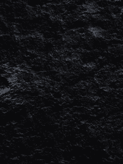 크립틱파크 / Cryptic park