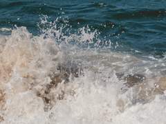 네트워크 수산에는 인어가 산대