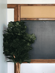 스승 이슈 극복 프로젝트