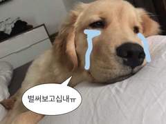 한 주 동안 뭘 했을까나