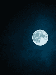 나의 정원은 푸르고 푸르렀다.