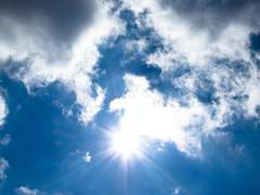 햇빛 아래 아이