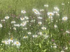 𝙿𝚛𝚘𝚏𝚒𝚕𝚎.