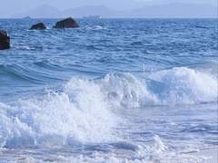 사랑의 물리학.