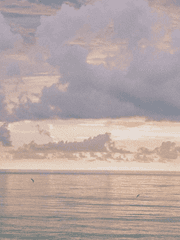 몽글몽글 바람바람