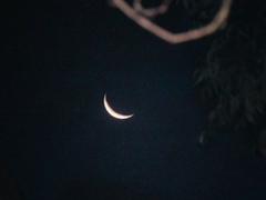 01. 오만이라는 이름으로 (1)