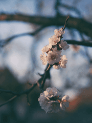 화귀 전독시 크오 짧썰