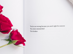 [형현] 나혼산 출연한 조형석(썰)