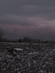 Re: 우리가 원하는 엔딩이 나올 때까지