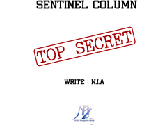 N.I.S.G Sentinel Column