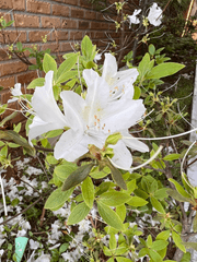 분명 더 나을 것이라고-.